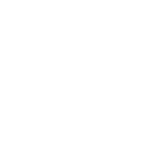 icons-bm-uem_inventarisieren weiß