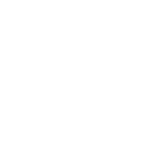 icons-bm-uem_sicherheit weiß