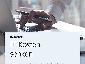 Ratgeber: IT-Kosten senken