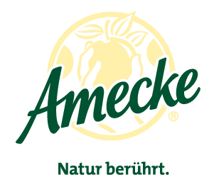 Amecke (1) Logo Amecke